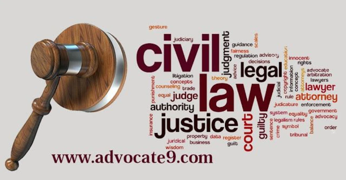 Professional Advice, Litigation &